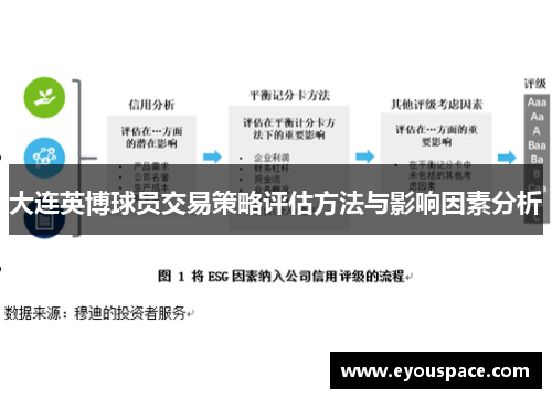 大连英博球员交易策略评估方法与影响因素分析